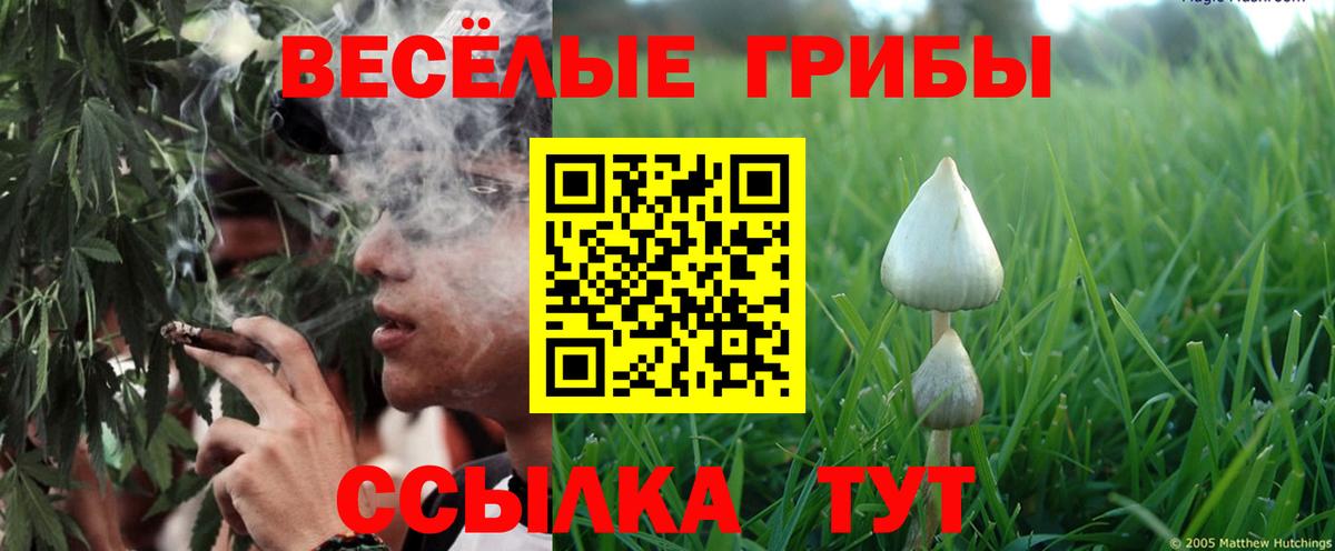 Медногорск  Галлюциногенные грибы ЛСД  где продают наркотики  Вход с VPN 